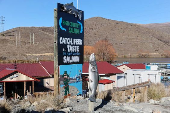 Salmon Farms
